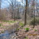 WETLAND DELINEATIONS